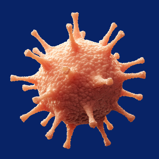 细菌病毒的细胞。孤立在蓝色背景，剪切路径包括。图片下载