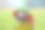 特写金刚鹦鹉头，一只美丽可爱的鹦鹉图片下载