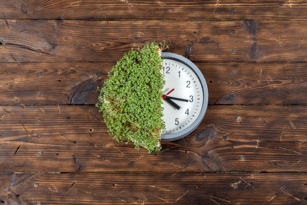 工作期间吃健康午餐。最好的豆瓣菜放在一张棕色的旧桌子上图片下载