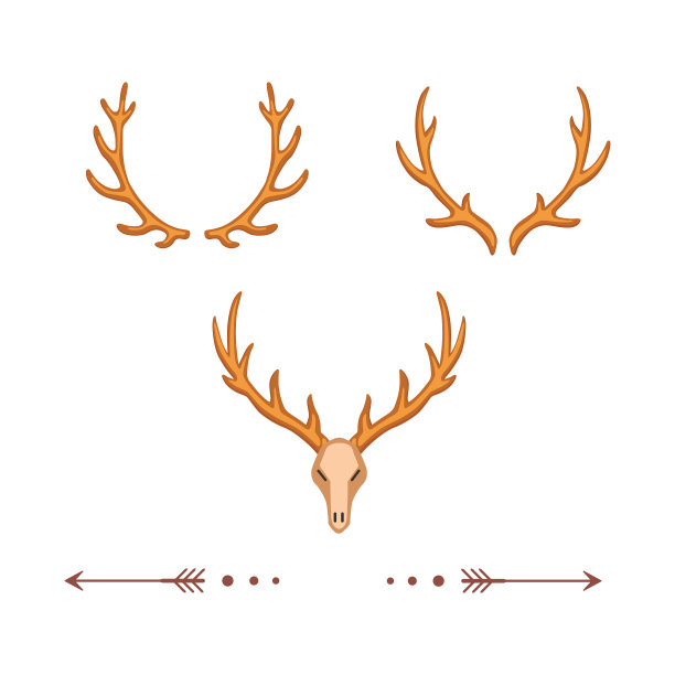 不同的角，角质的狩猎奖杯图片下载