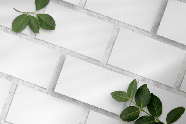 用树叶大量清洁最小的名片模型。图片下载