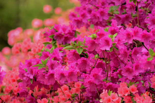 夏天的场景图片下载