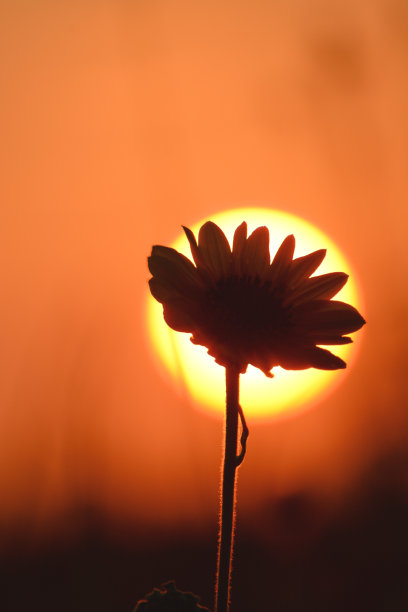 夏天的场景图片下载