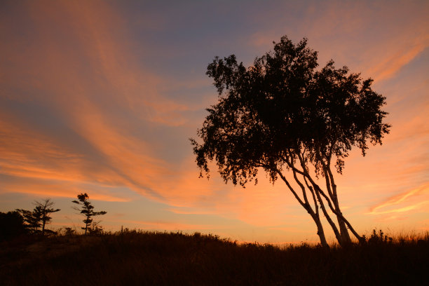 夏天的场景图片下载