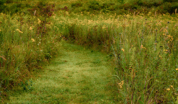 夏天的场景图片下载