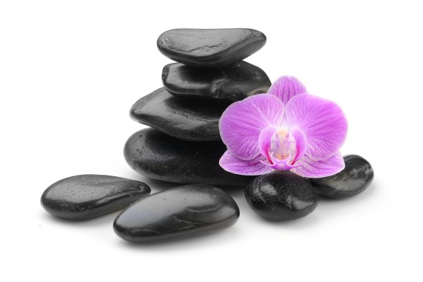 兰花和黑石上的白色图片下载