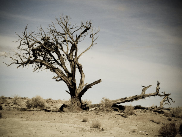 内华达沙漠图片下载