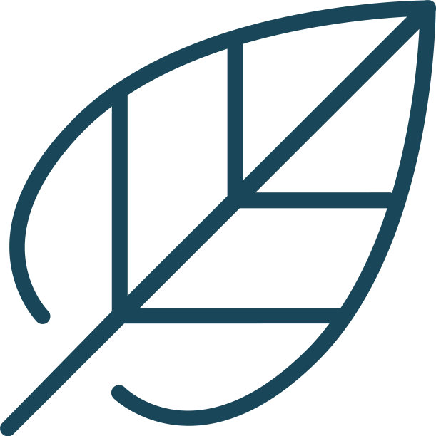 叶子线性轮廓图标或标志孤立上图片下载