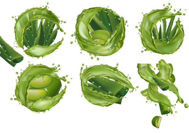 逼真的新鲜芦荟在白色的背景。收集绿色芦荟喷溅液。片芦荟。皮肤护理和头发的草药。芦荟和仙人掌特写。三维演示图片下载