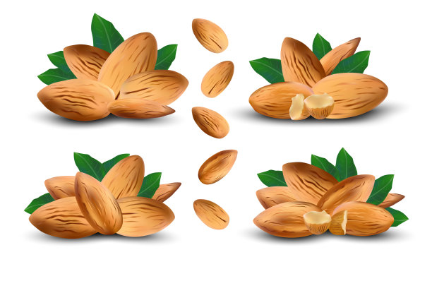 去皮杏仁。现实坚果与树叶在白色的背景。新鲜杏仁近距离。图标集。有机坚果。概念的食物。3 d演示。素材图片