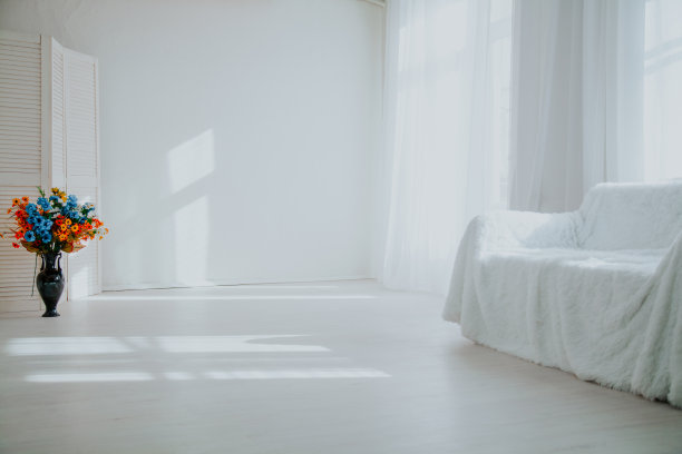 家庭装饰白色房间，沙发和花瓶里的花图片下载