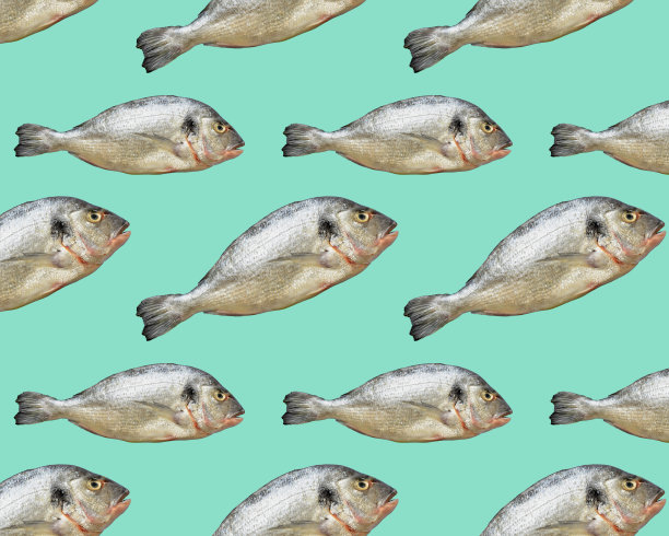 无缝的几何图案。青绿色背景上的剑鱼。模式图片下载