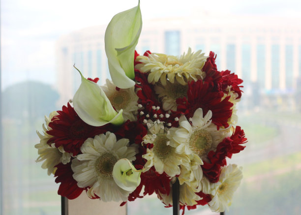 花朵的花束图片下载