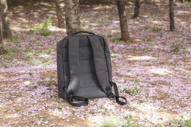 书包在樱桃树下图片下载