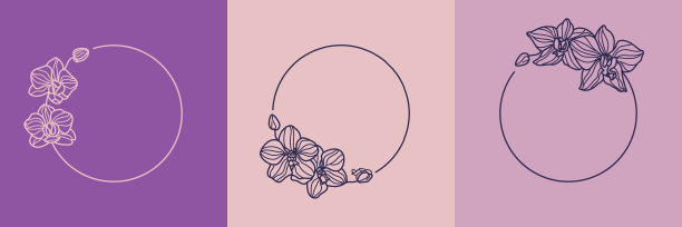 一套兰花花框架和字母概念在最小的线性风格。向量的标志图片下载