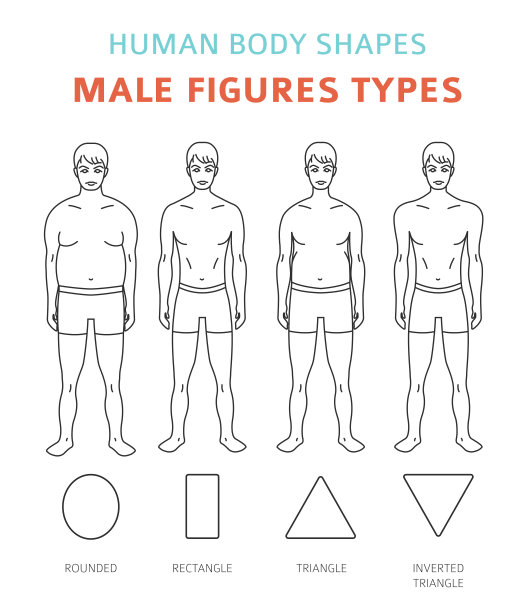 人体形状。男性人物类型设置图片下载