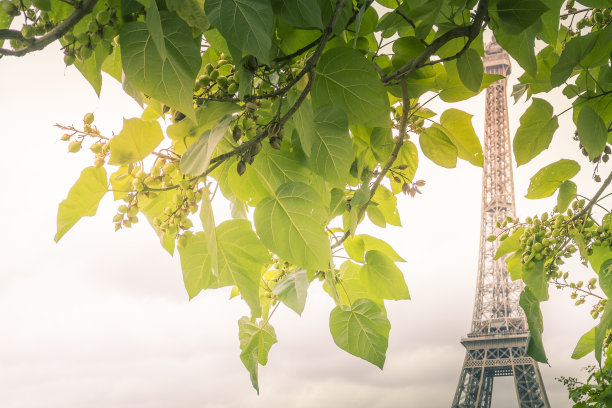 春天的埃菲尔铁塔图片下载