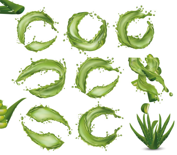 逼真的新鲜芦荟与喷溅液体上白色背景。皮肤护理和头发的草药。果汁芦荟。仙人掌或芦荟特写。三维演示图片下载