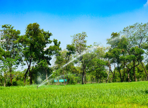 用施普林格浇灌草坪图片下载