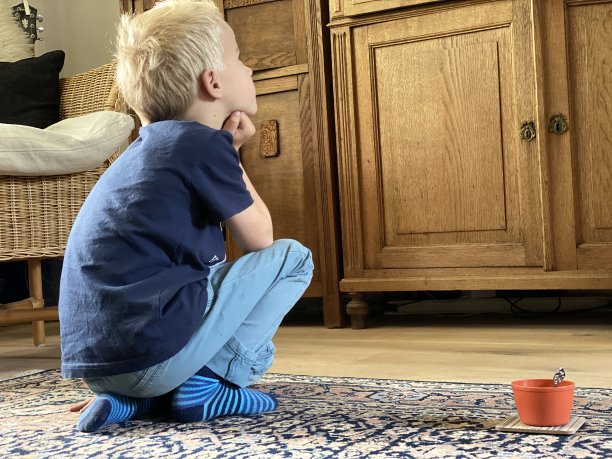 男孩看电视图片下载