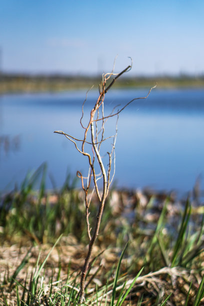 美丽的春江在大自然中流淌。早晨和晚上的风景五彩缤纷。去世界上荒芜的地方旅行。设计素材照片图片下载