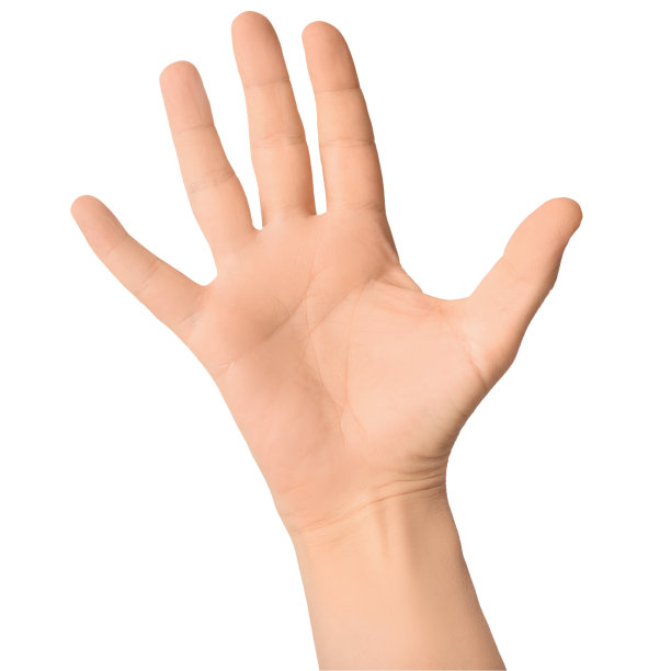 男子的手与摊开的手掌孤立在一个白色的背景。帮助或问候的手势图片下载