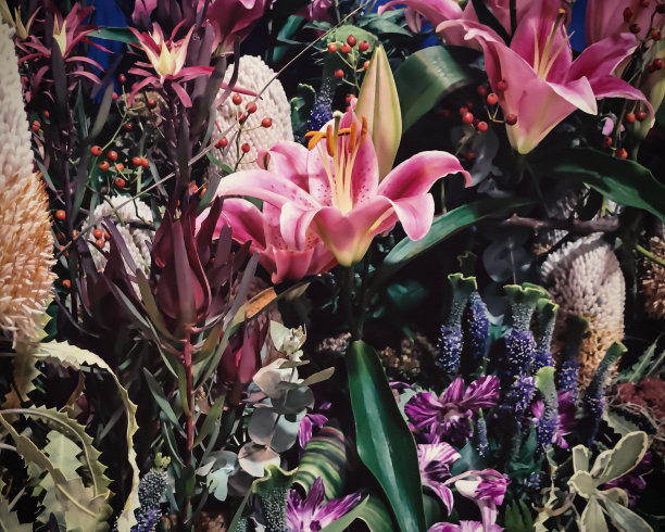 美术花卉摄影图片下载