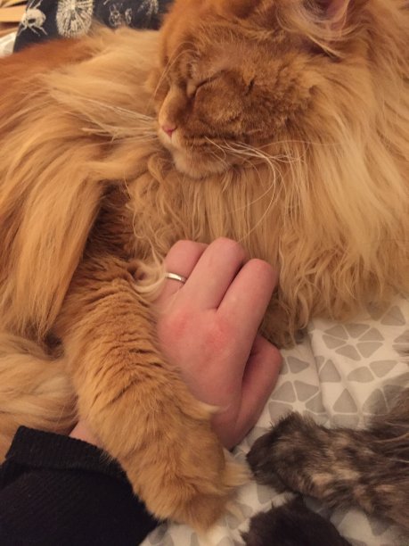 手牵着手图片下载