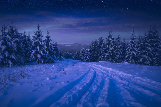 雪道穿过喀尔巴阡山脉的高山森林图片下载