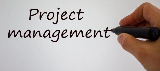 手写“项目管理”，孤立在白色背景上。图片下载