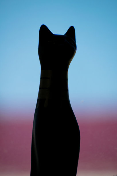 屋顶上黑猫的剪影。黑色的猫。图片下载