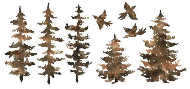 水彩手绘冷杉树。插图与棕色森林和鸟类。在白色背景上绘制孤立的风景，用于纺织品，印刷品，海报，旅游设计。图片下载