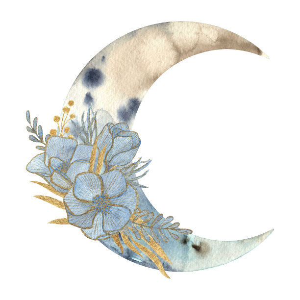 一组水彩画的蓝色海葵，金色的小树枝和新月，孤立在白色的背景上。用于相框、请柬、贺卡、婚礼设计。图片下载
