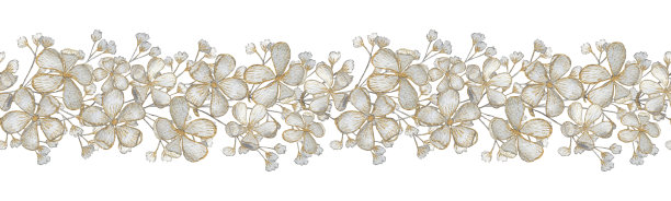 水彩花无缝边界与灰色的花，孤立在一个白色的背景。用于婚礼请柬，贺卡，纺织品，纸张。图片下载