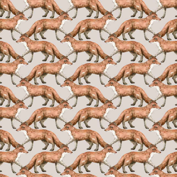 水彩无缝图案与可爱的狐狸。手绘逼真的插图孤立在白色的背景。背景与野生林地动物纺织，包装，覆盖，装饰。图片下载