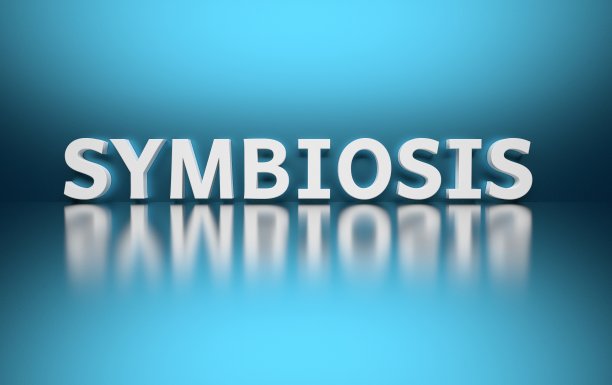 蓝色背景上的单字共生图片下载