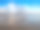 北海的瓦登海和海鸥图片下载