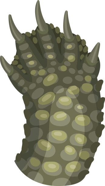 动物爪子孤立在白色背景图片下载