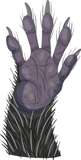 动物爪子孤立在白色背景图片下载