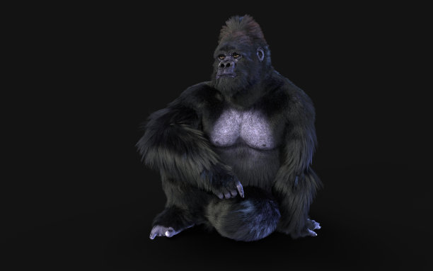 一个银背大猩猩的3d插图在黑暗的背景与剪切路径。图片下载