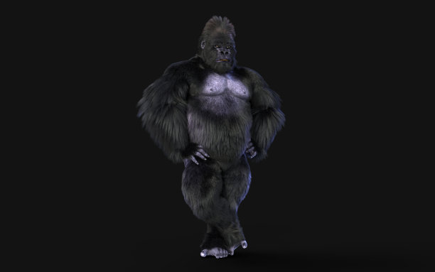 一个银背大猩猩的3d插图在黑暗的背景与剪切路径。图片下载