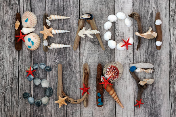 海滩冲浪抽象的乡村木材图片下载