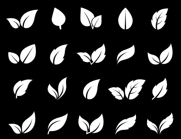 孤立的叶子图标集图片下载