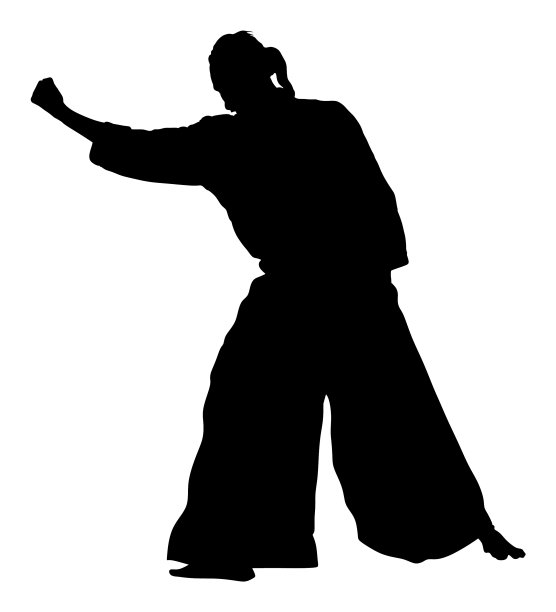 合气道战士剪影训练自卫图片下载