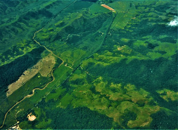 地球表面鸟瞰图。绿地景观。图片下载