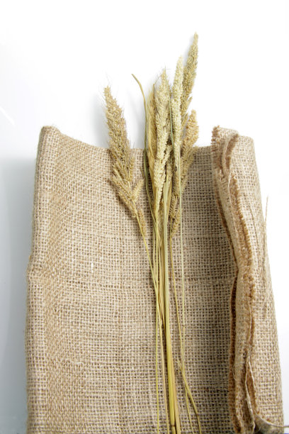 分离的干谷子图片下载