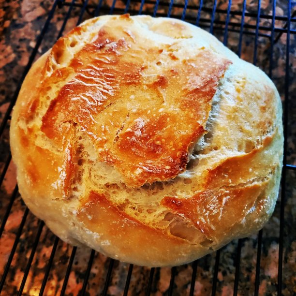 新鲜出炉的面包图片下载