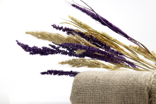 分离的干谷子图片下载