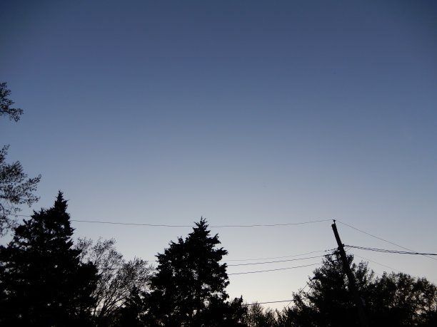 无云日日落夜有树图片下载