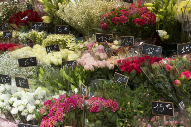 法国巴黎街头的花店。图片下载